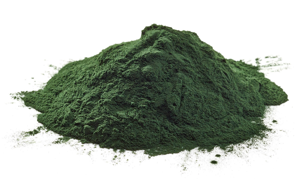 O grămadă de pudră de Chlorella.