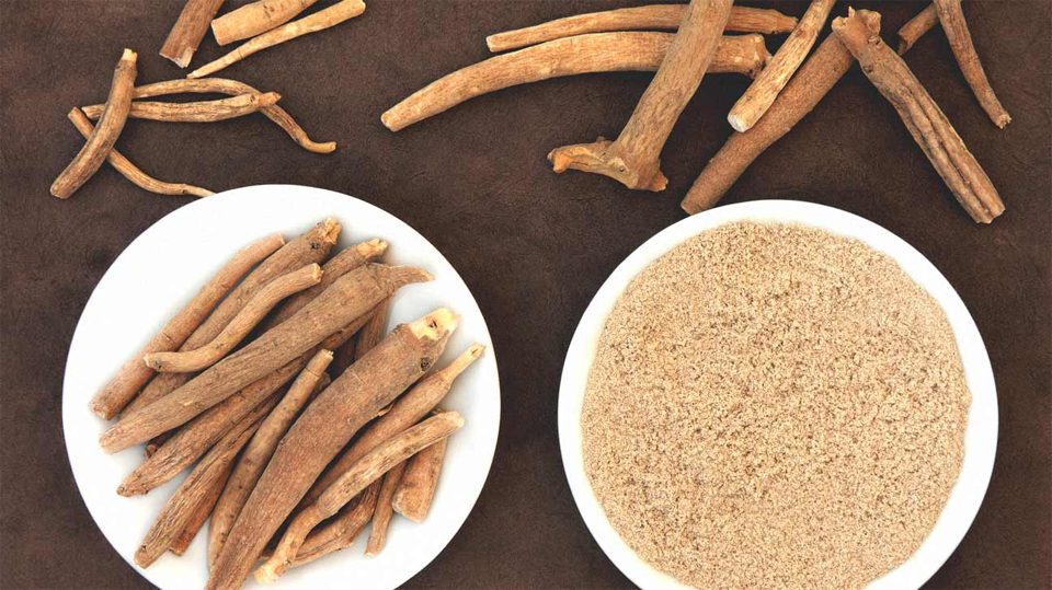 Două farfurii pline cu pudră și rădăcini de Ashwagandha văzute de sus.